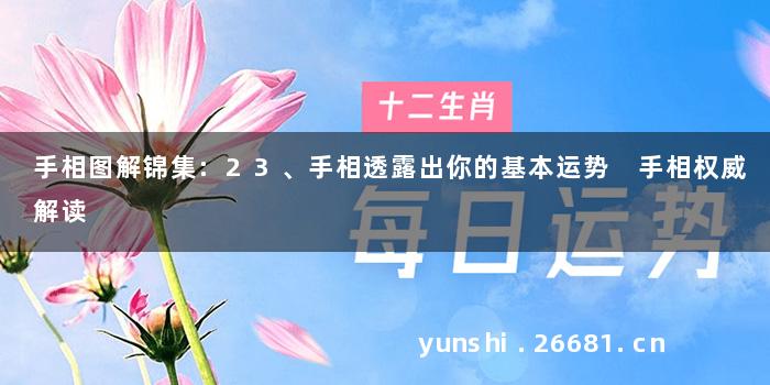 手相图解锦集:23、手相透露出你的基本运势 手相权威解读
